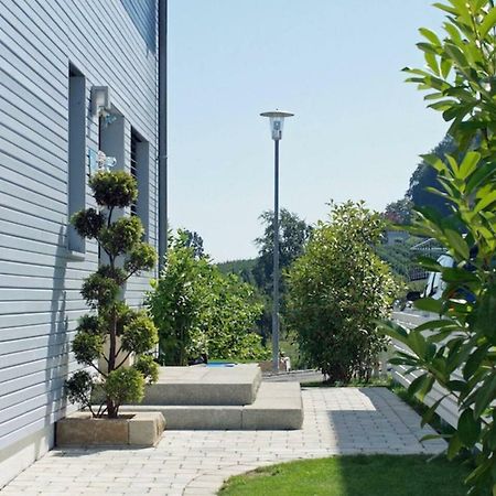 Haus Bodenseeblick 博德曼路德维希港 外观 照片