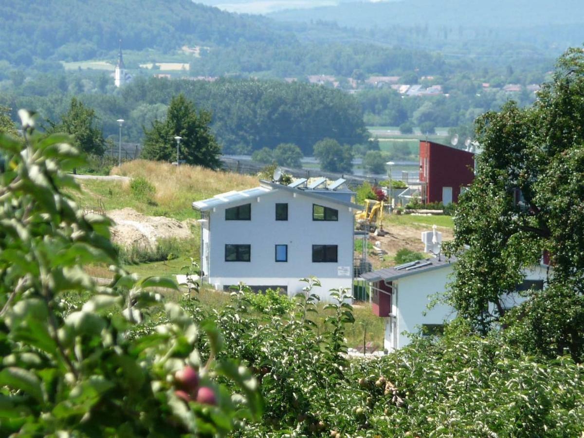 Haus Bodenseeblick 博德曼路德维希港 外观 照片