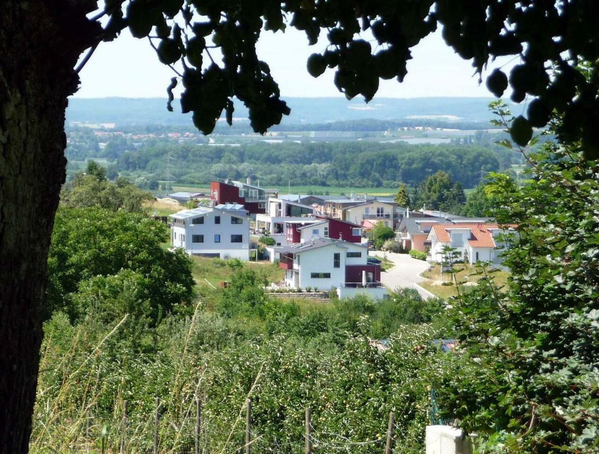 Haus Bodenseeblick 博德曼路德维希港 外观 照片