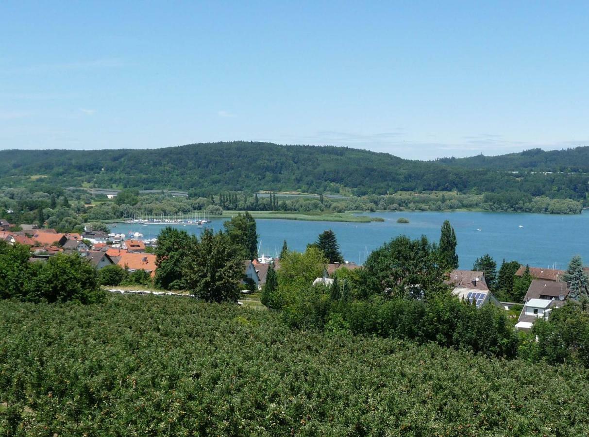Haus Bodenseeblick 博德曼路德维希港 外观 照片